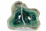 Polished Green Fluorite Bowl #359583-1